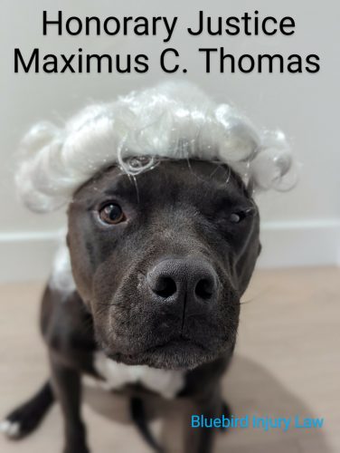 PXL_20230330_010826915.PORTRAIT_2